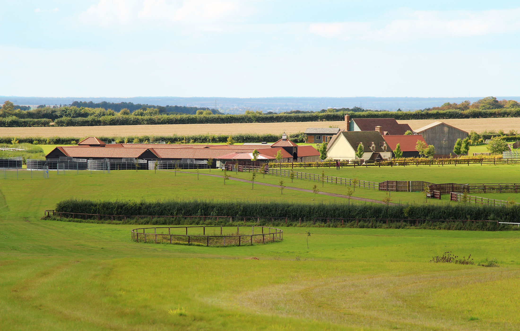 Pre-Training racehorses for over 20 years